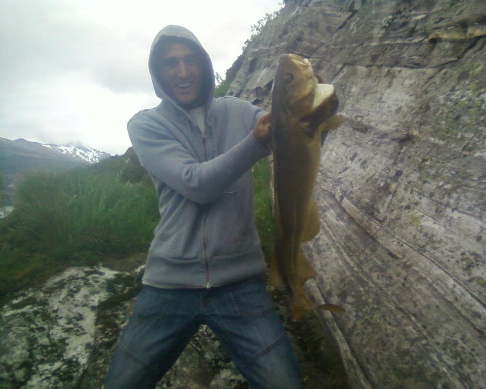 prin toate colturile lumii